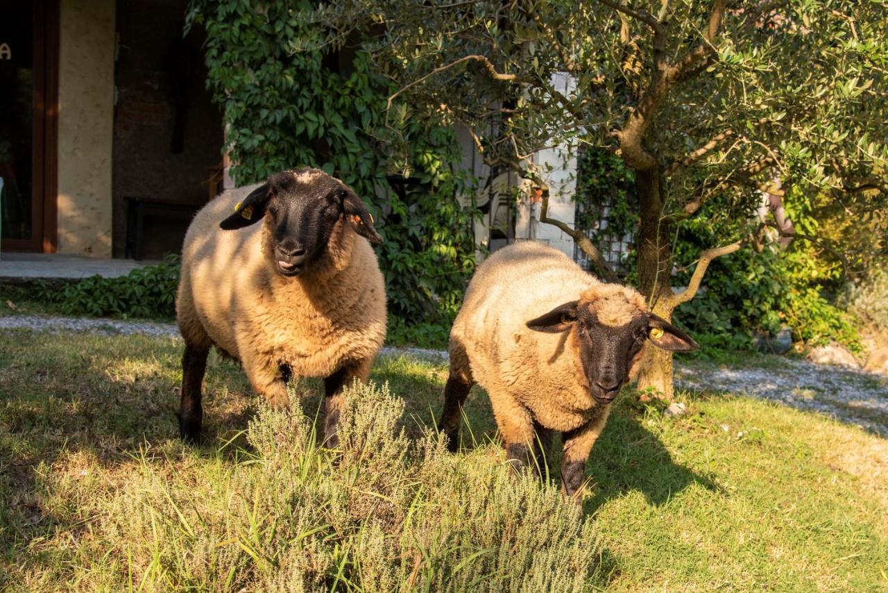 Agriturismo Cascina Costa 카사고브리엔자 외부 사진